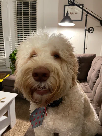 /galleries/winston/IMG_6186.jpeg