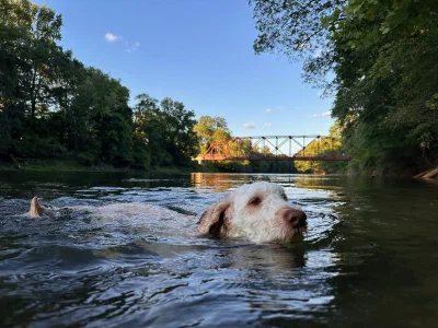 /galleries/winston/IMG_6509.jpeg