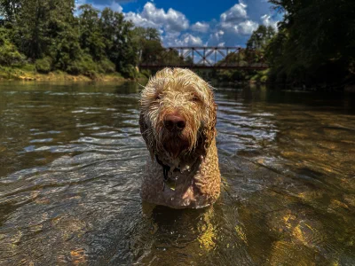 /galleries/winston/IMG_7710.jpeg