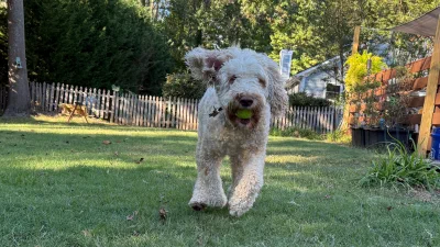 /galleries/winston/IMG_8637.jpeg